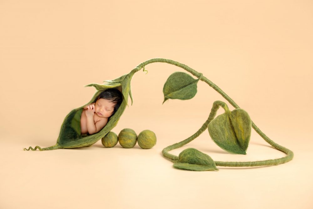 newborn pea in a pod