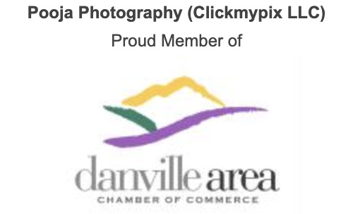 danville chamber member photographer