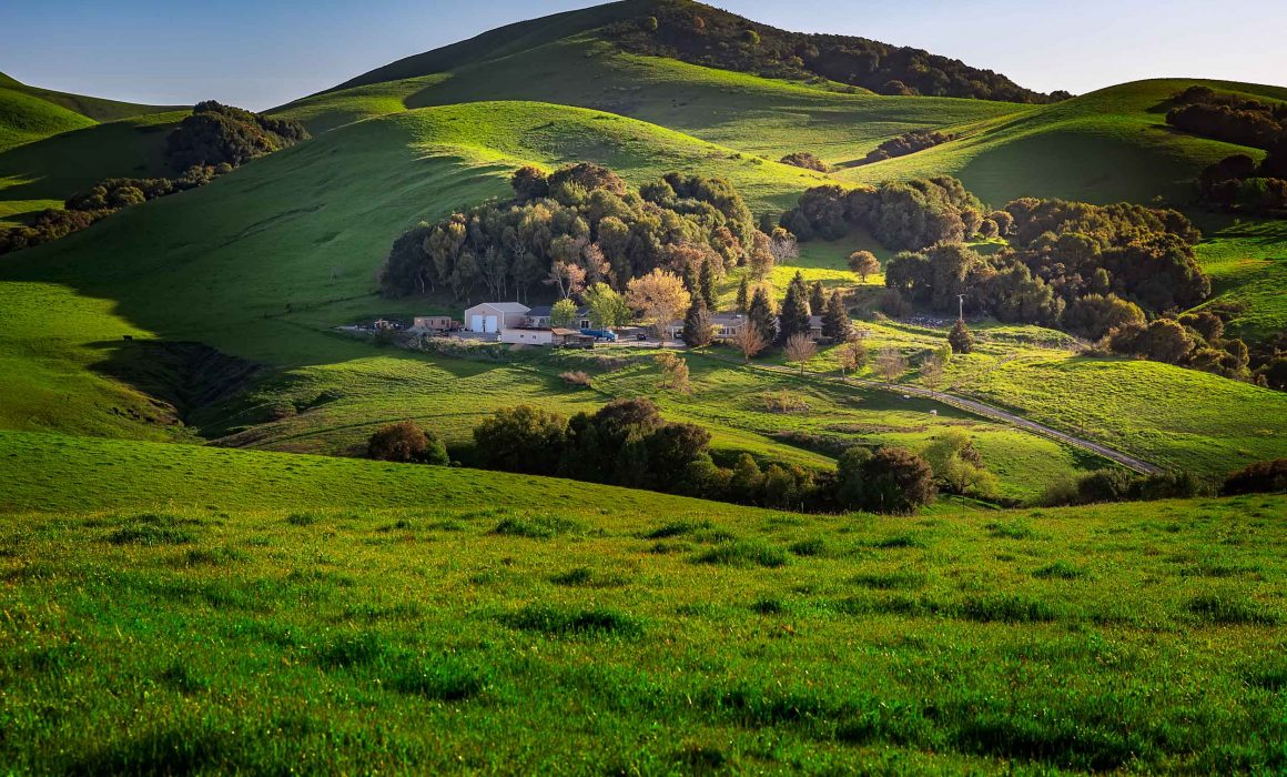 san ramon pastures