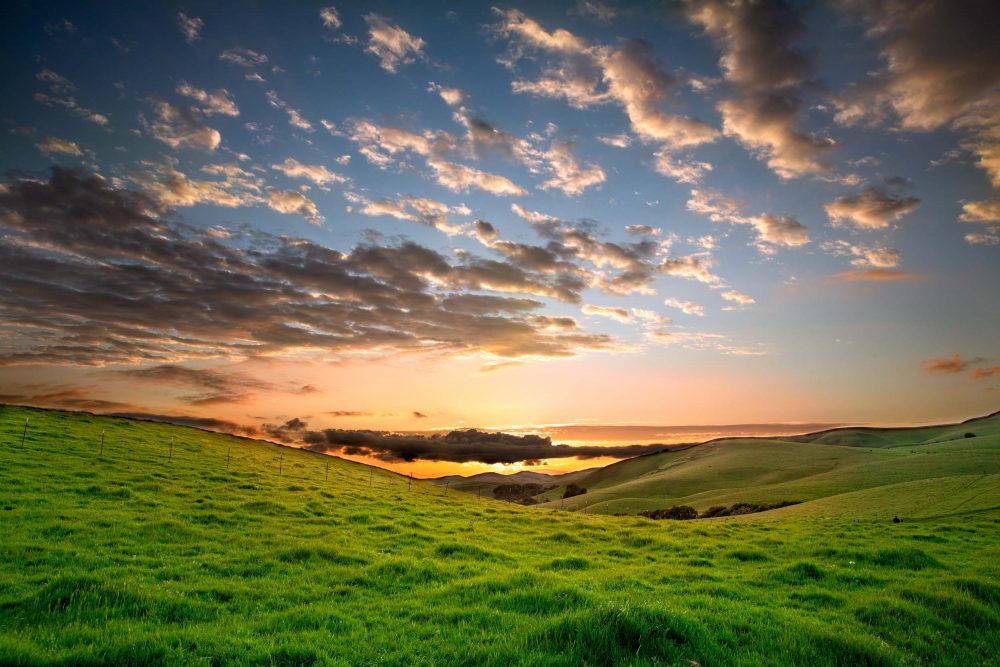 Hillsides and Pastures of San Ramon|California countryside, My beautiful City – San Ramon, CA