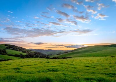 Hillsides and Pastures of San Ramon