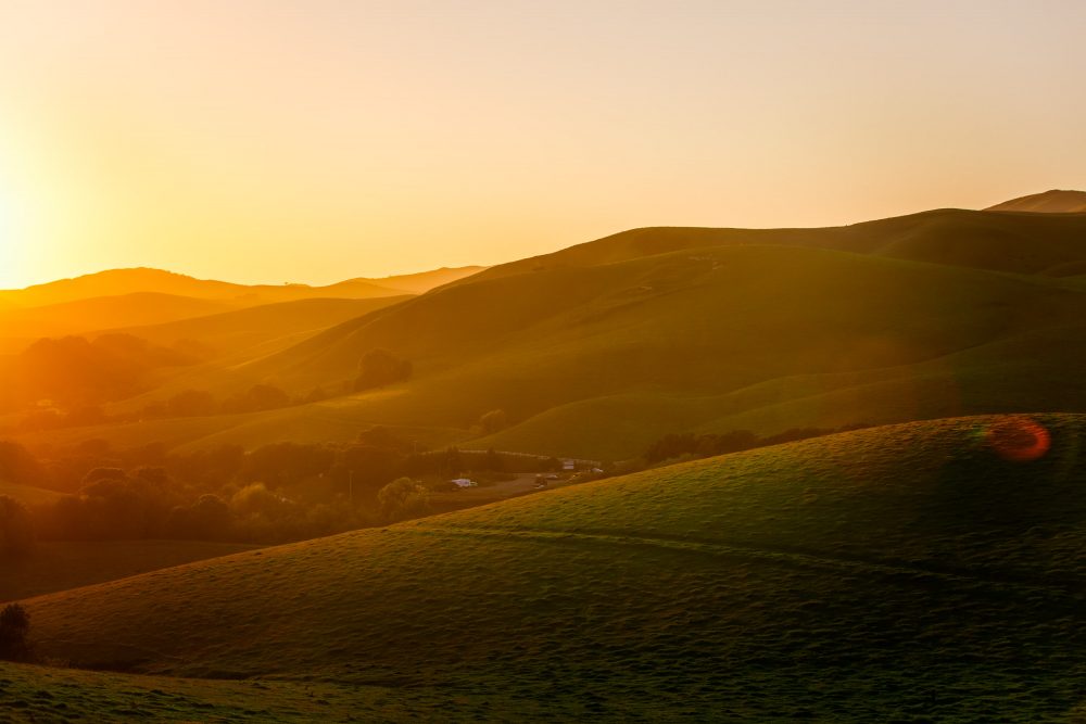 Hillsides and Pastures of San Ramon|California countryside, My beautiful City – San Ramon, CA