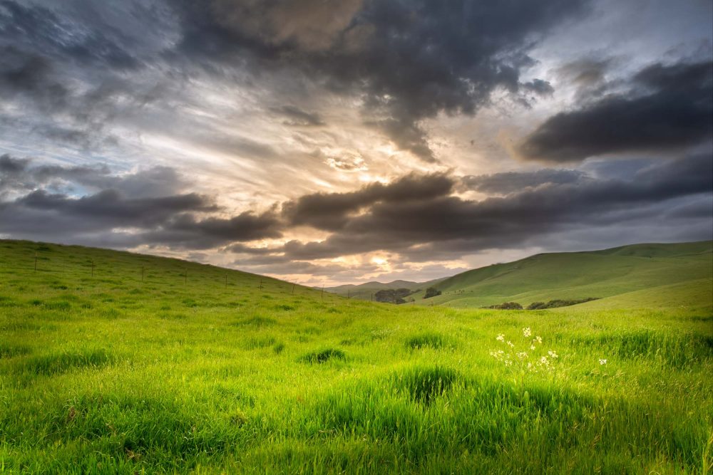 Hillsides and Pastures of San Ramon|California countryside, My beautiful City – San Ramon, CA