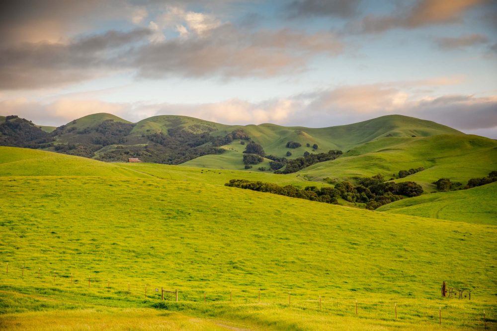 Hillsides and Pastures of San Ramon|California countryside, My beautiful City – San Ramon, CA