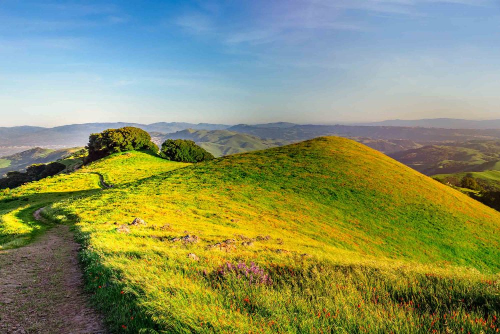 Hillsides and Pastures of San Ramon|California countryside, My beautiful City – San Ramon, CA