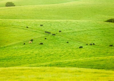 Landscape Photoshoot