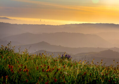 Landscape Photoshoot