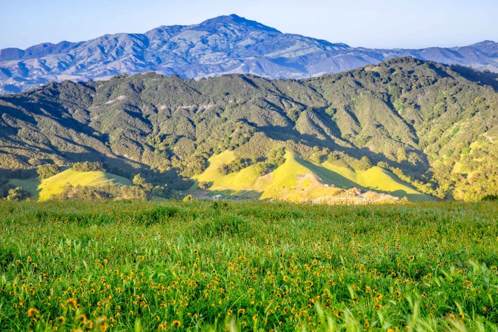Hillsides and Pastures of San Ramon|California countryside, My beautiful City – San Ramon, CA