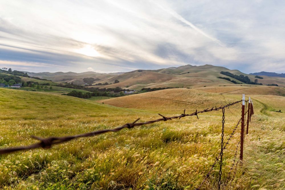 Hillsides and Pastures of San Ramon|California countryside, My beautiful City – San Ramon, CA