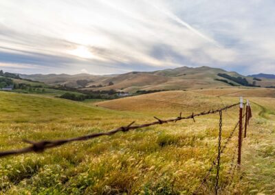 Landscape Photoshoot