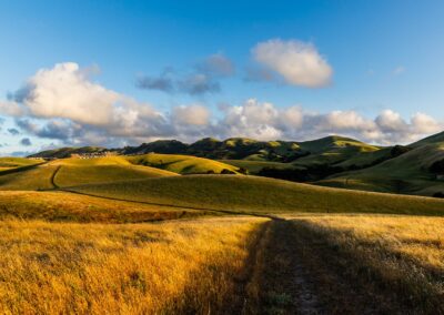 Landscape Photoshoot