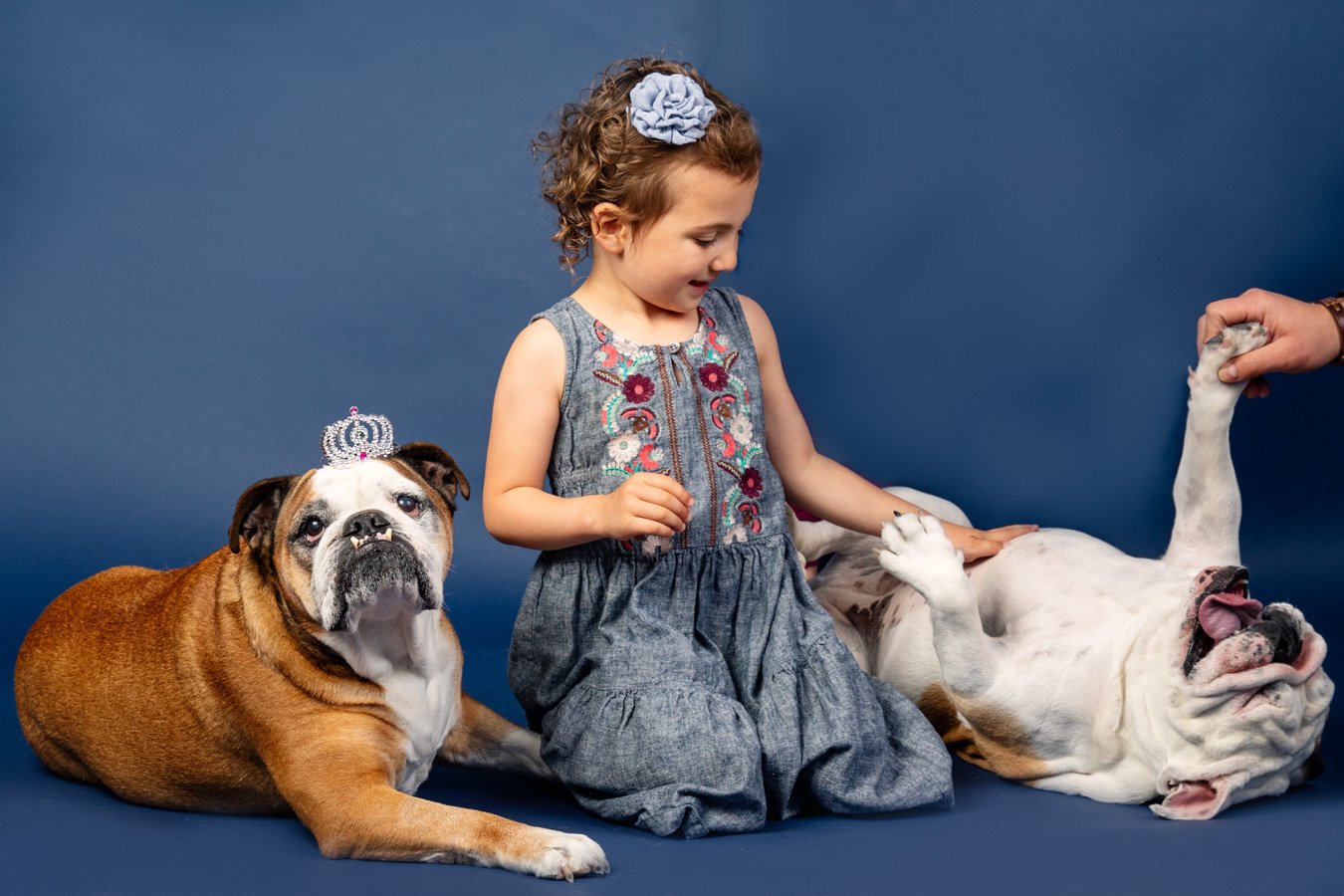 Girl with her dogs Girl with her dogs