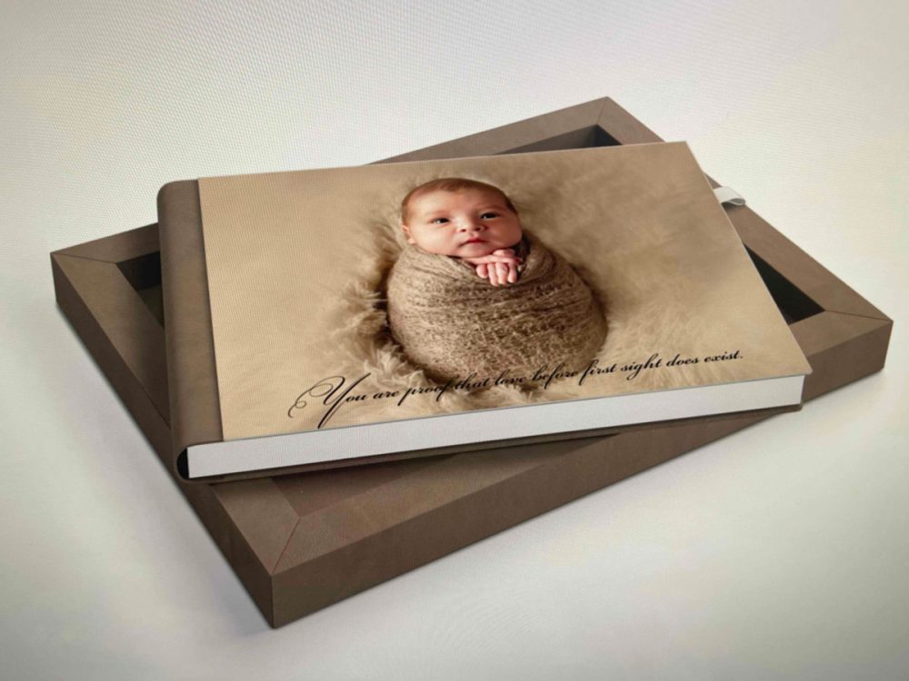 Bay Area Maternity Newborn and Headshots Photography, Pooja Photography-Bay Area’s Award Winning , Published, Professional, Premium Portrait Photographer NHM