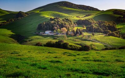 BLOG San Ramon City Hall Gallery