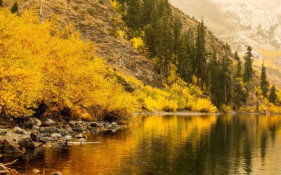 BLOG Tips for Shooting Better Landscape Photography