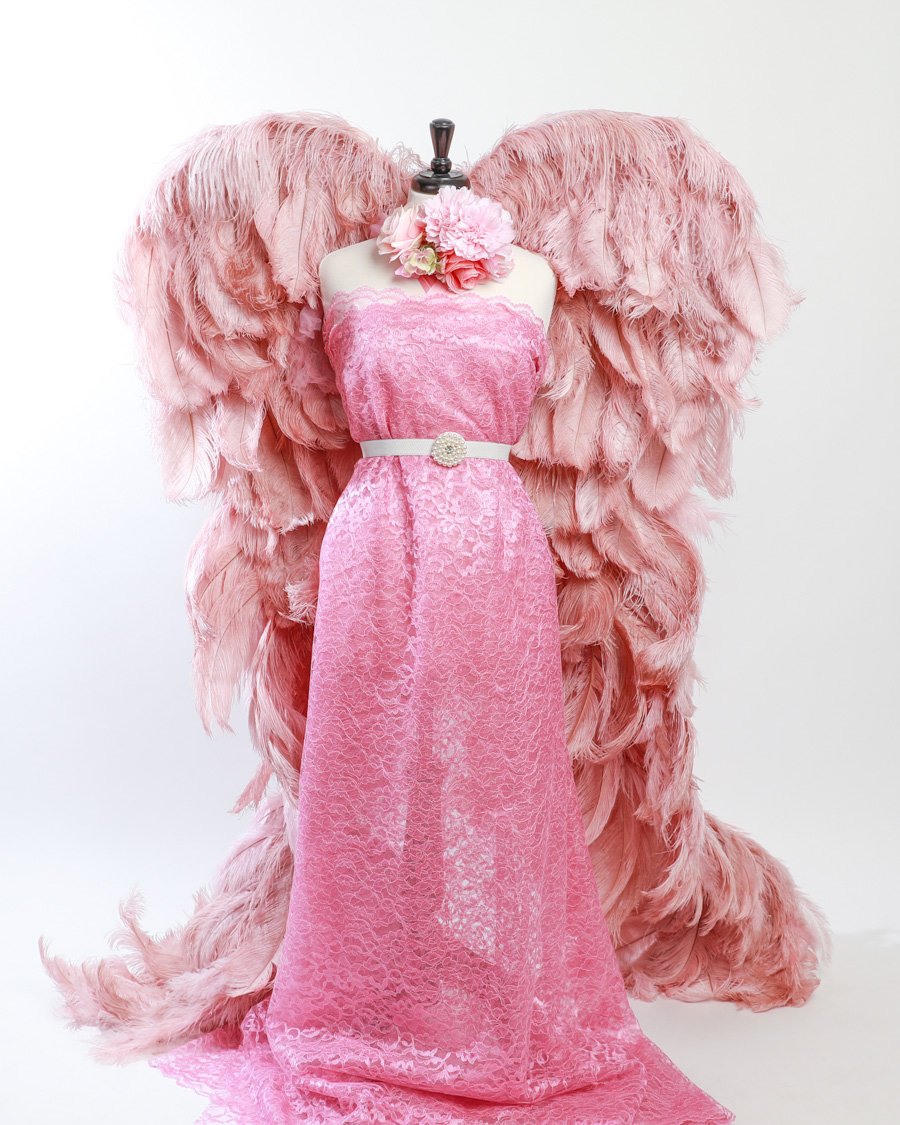 Maternity photography gowns angel wings