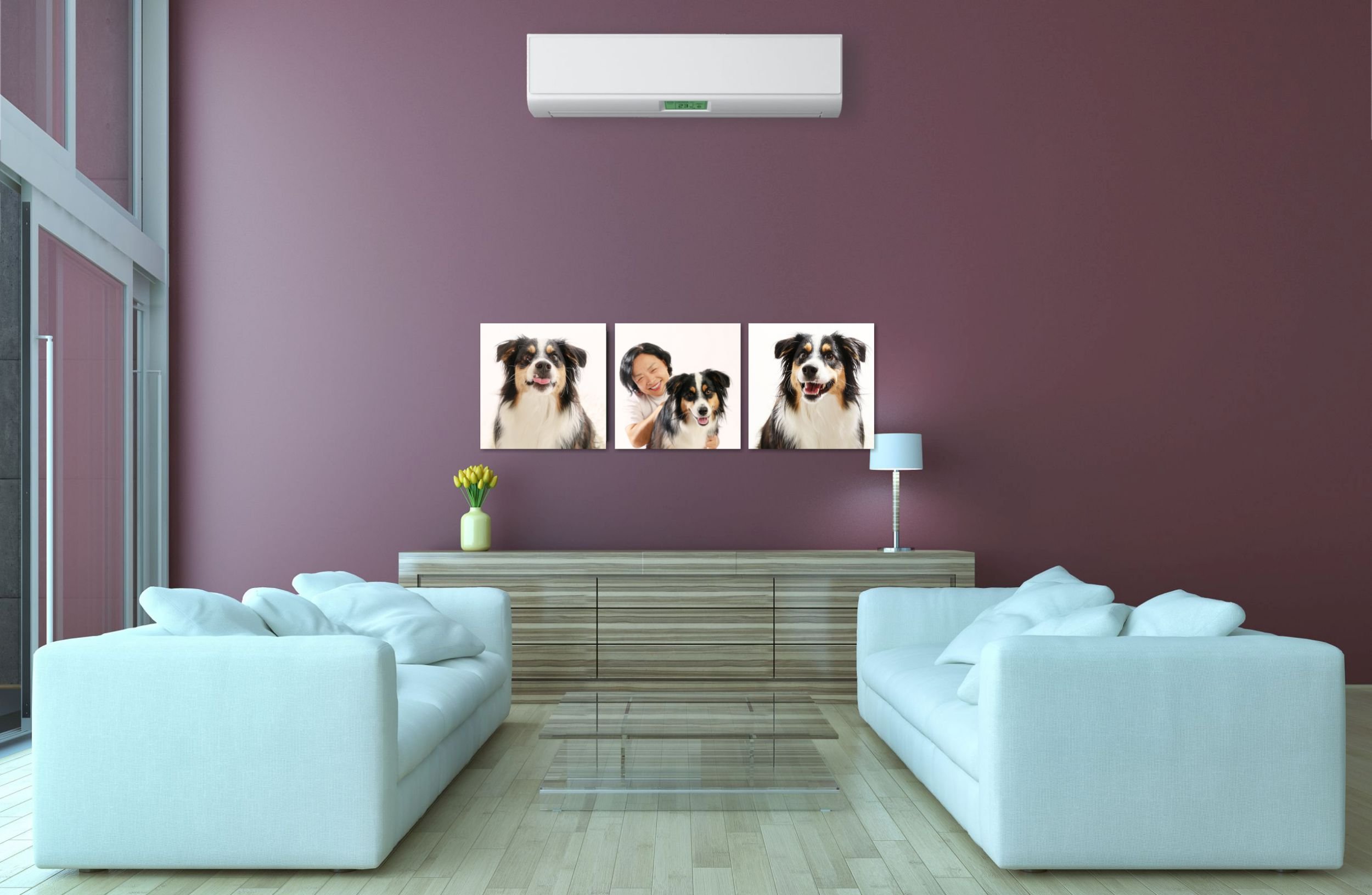 AdobeStock_53455777