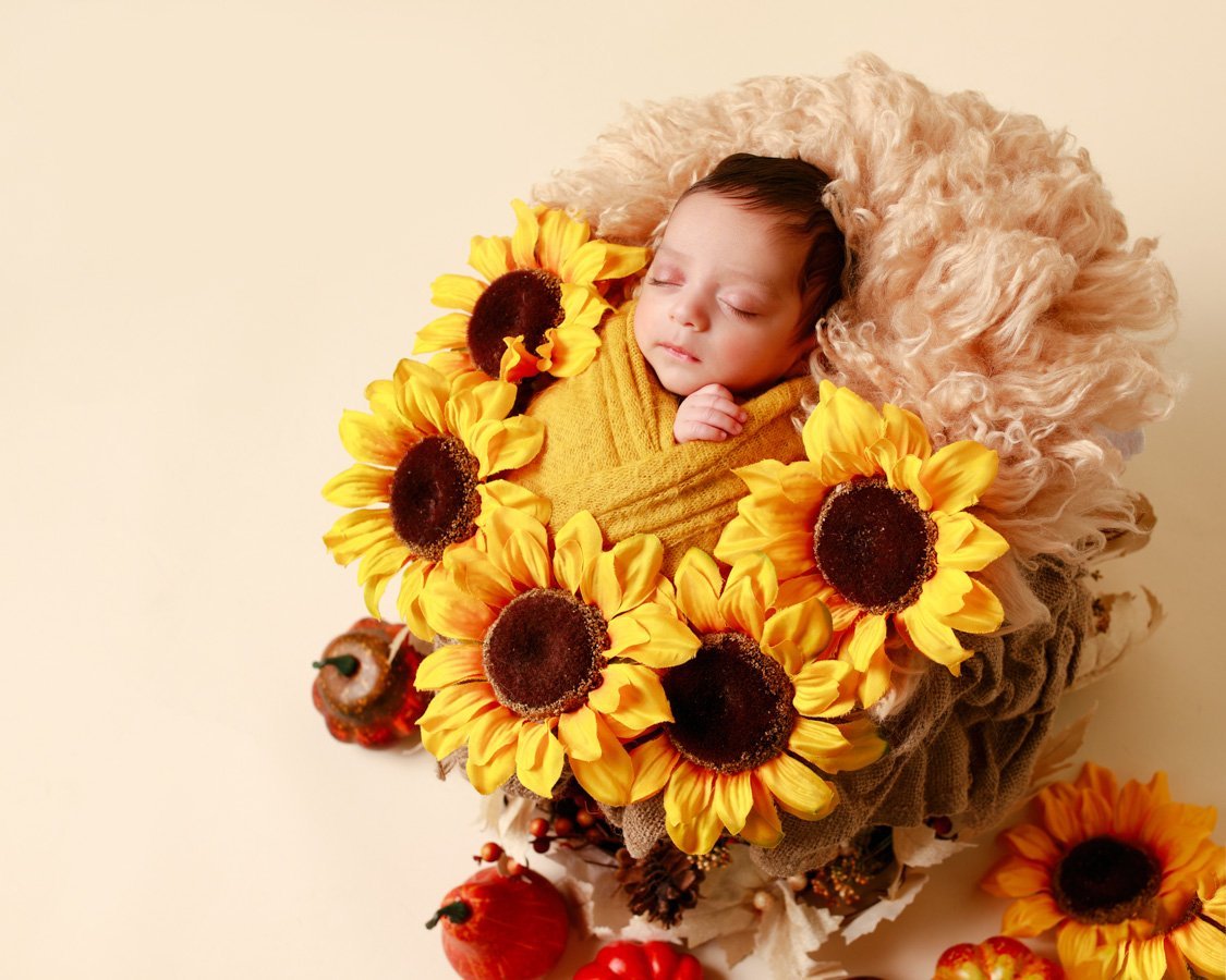 Bay Area Maternity Newborn and Headshots Photography, Pooja Photography-Bay Area’s Award Winning , Published, Professional, Premium Portrait Photographer NHM