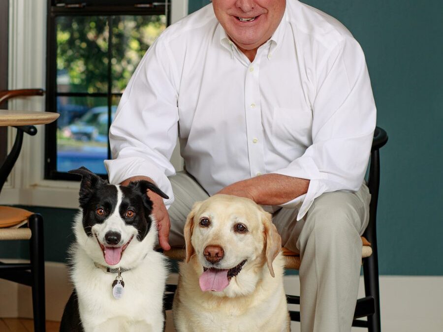 Why Pet photography should be left to professionals
