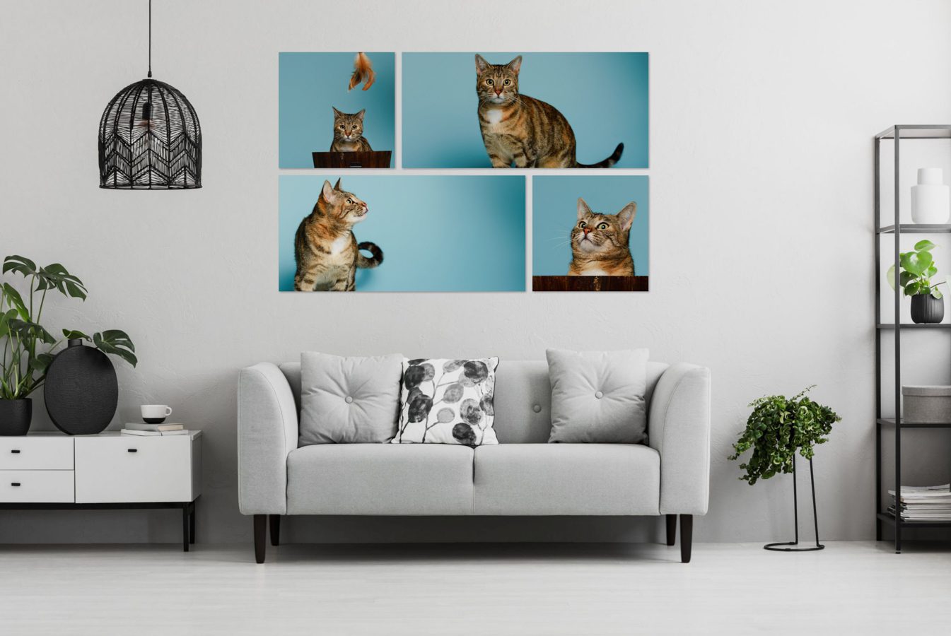 Fine art wall portraits for pet families, Pooja Photography Bay Area