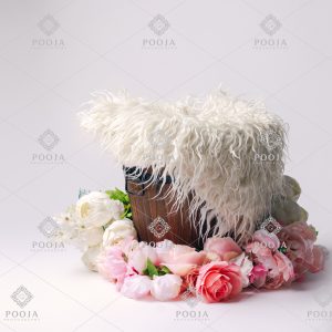 , Newborn Digital Backdrops