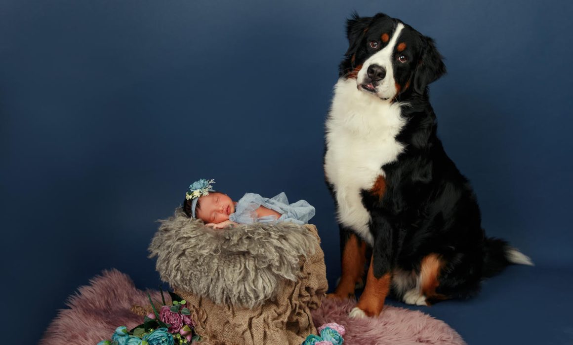 pet and baby, What to Expect During Your Pet and Baby Photography Session