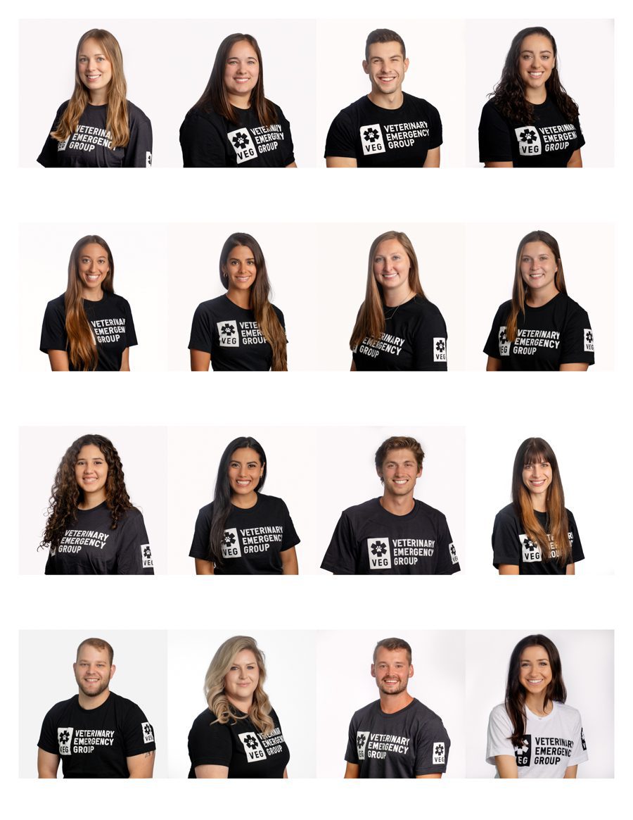 Team Headshots & Conference Headshot Booths