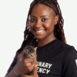 Veterinary Emergency Group team