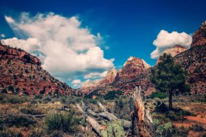 Zion National Park